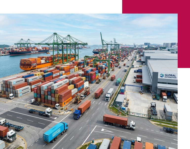 Trading & Distribution